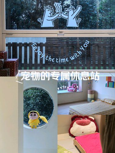玉峰山上的宠物酒店