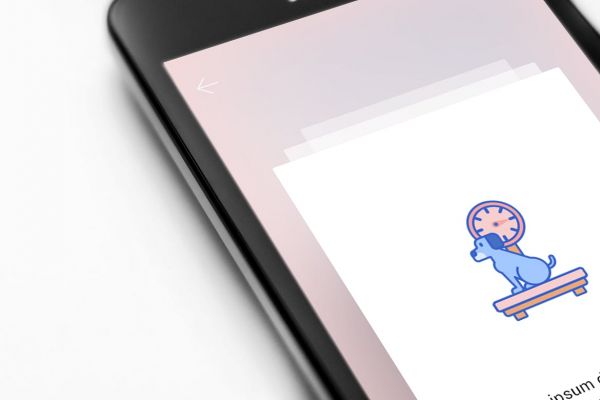 65个宠物医院描边风图标源文件下载65 Veterinary Icons Indigo Series插图5