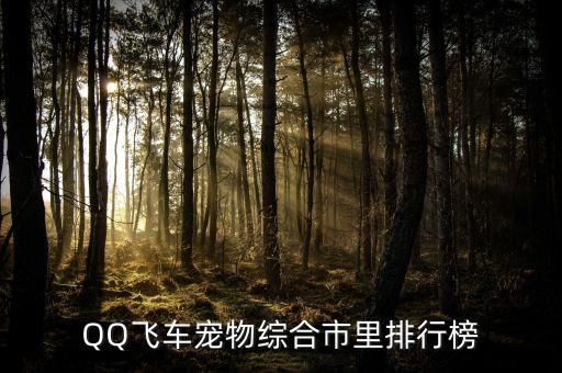QQ飞车宠物综合市里排行榜