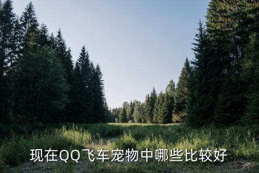 现在QQ飞车宠物中哪些比较好