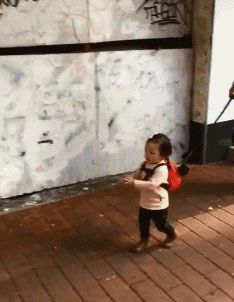 宠物GIF图：爸爸，快看，狗狗和我一样有个绳儿拴着