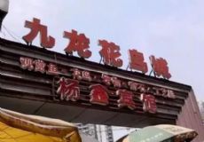 重庆杨家坪九龙花鸟市场图片