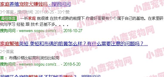 家庭繁殖宠物狗赚钱吗