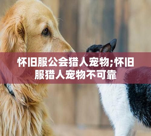 怀旧服公会猎人宠物;怀旧服猎人宠物不可靠