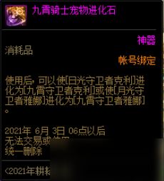 《DNF》九霄骑士宠物进化石介绍