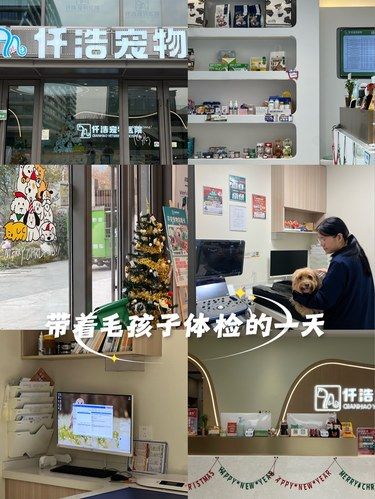 萌宠健康守护站 |带着毛孩子体检的一天