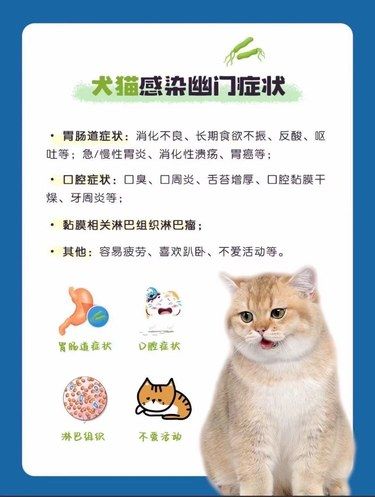 犬猫幽门杆菌