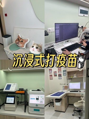 铲屎官一定要知道的‼️在这儿疫苗好划算