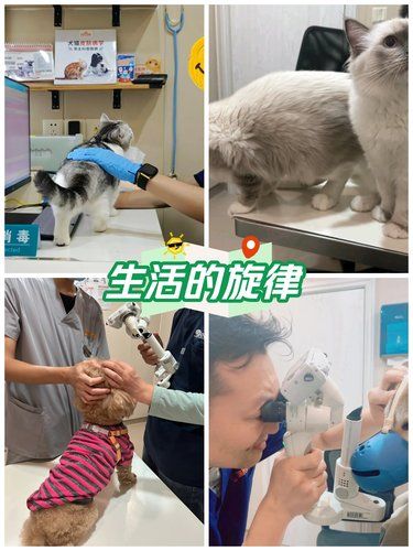 医术超赞 医心更美~