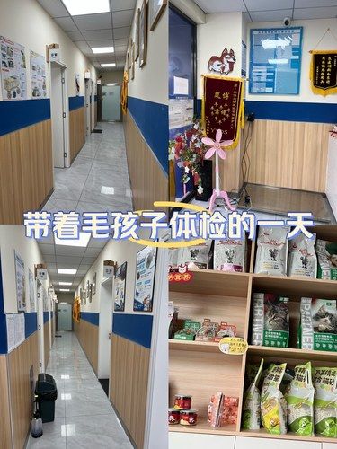 宠物医院初体验