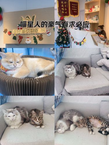 这家医院真的很推荐！！