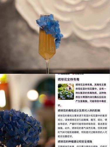 为了漂亮，把毒花贴在杯壁上