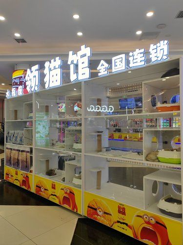 沈阳｜发现一家猫咪领养馆