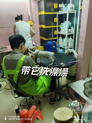 狗狗应该多久洗一次澡