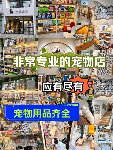 长白一家温馨的宠物之家