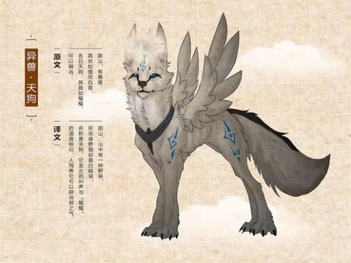 狗和犬有区别吗？当然有，宠主千万别搞错了 