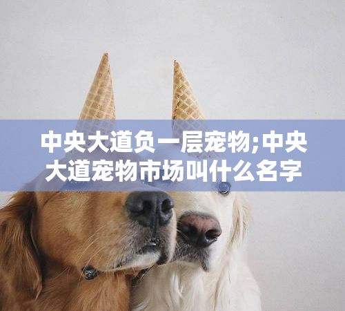中央大道负一层宠物;中央大道宠物市场叫什么名字