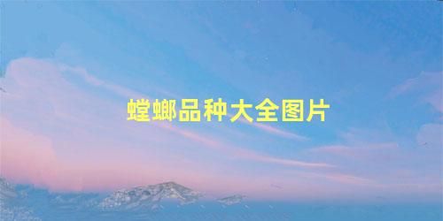 螳螂品种大全图片