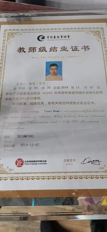 教师证书一