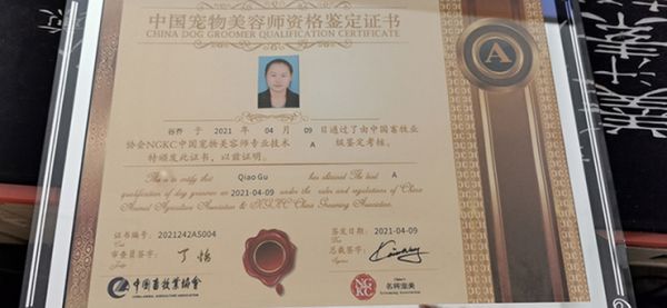 教师证书三