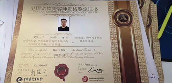 教师证书四