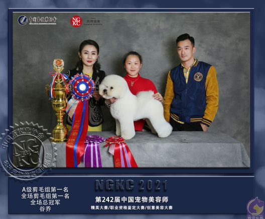 比赛风采