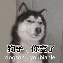 图片来自于网络
