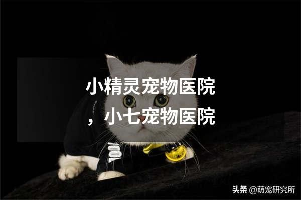 小精灵宠物医院，小七宠物医院