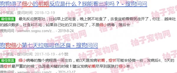 狗细小症状初期症状