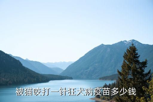 被猫咬打一针狂犬病疫苗多少钱