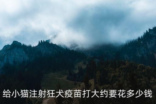 给小猫注射狂犬疫苗打大约要花多少钱