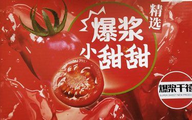 小番茄很不错