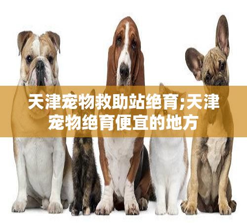 天津宠物救助站绝育;天津宠物绝育便宜的地方