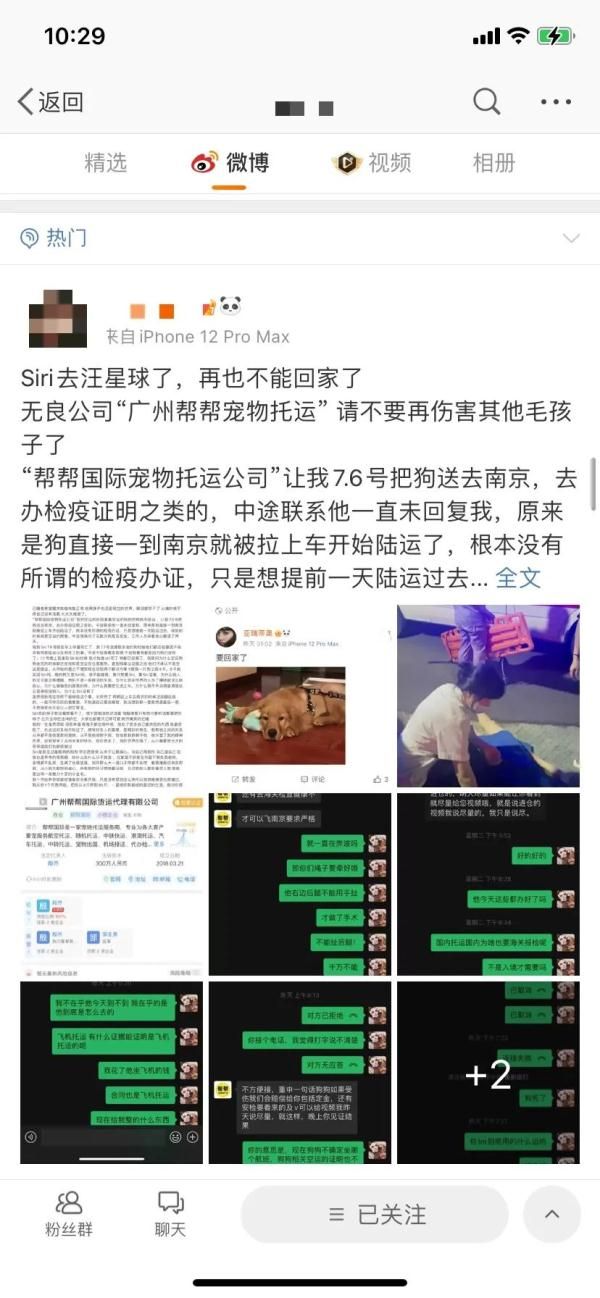 “空运私改陆运”致狗死亡，有后续