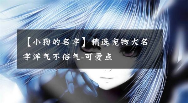 【小狗的名字】精选宠物犬名字洋气不俗气-可爱点