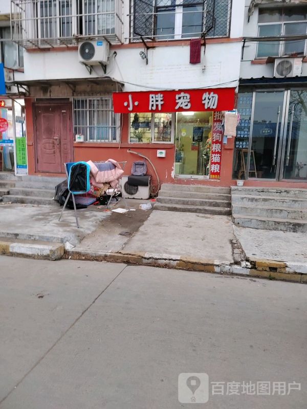 小胖宠物