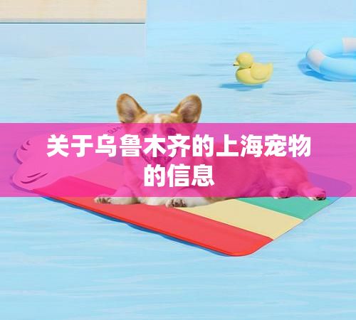 关于乌鲁木齐的上海宠物的信息