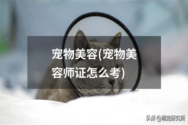 宠物美容(宠物美容师证怎么考)