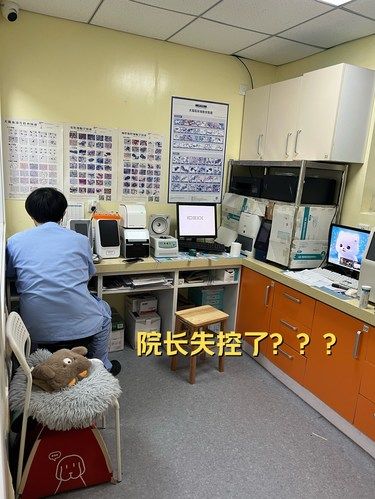 天！这家宠物医院的院长完全失控了！