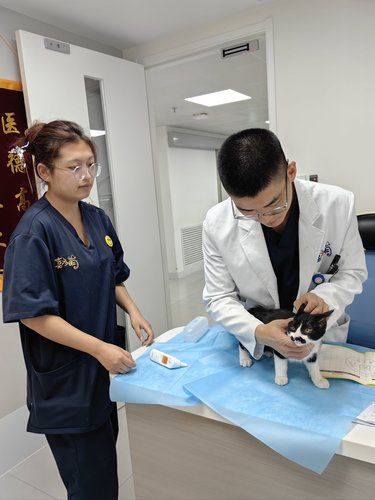 善待动物的人都很美
