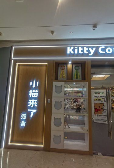 长的漂亮就得沦为玩物❌❓