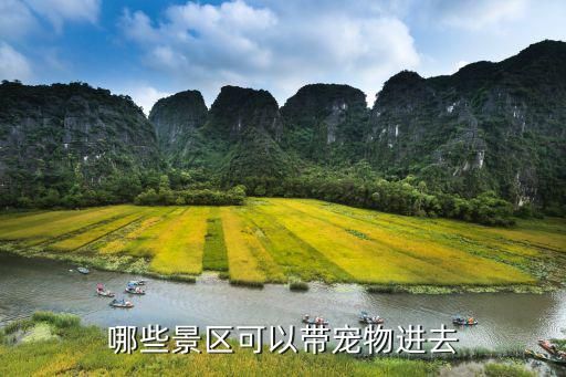 哪些景区可以带宠物进去