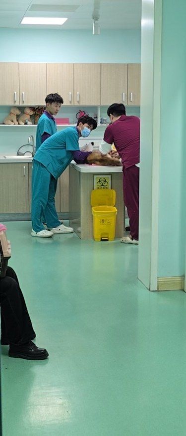 年度蛋黄儿体检