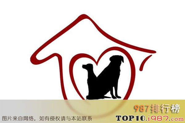 十大宠物品牌连锁店之大嘴狗