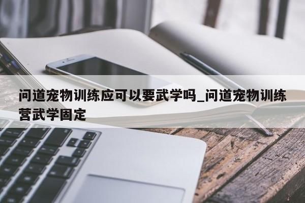 问道宠物训练应可以要武学吗_问道宠物训练营武学固定-第1张图片