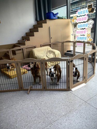 萌宠天堂 puppy calling