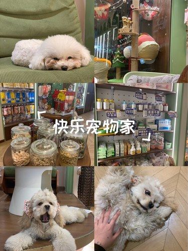 快乐宠物家