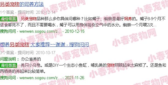 另类宠物养殖
