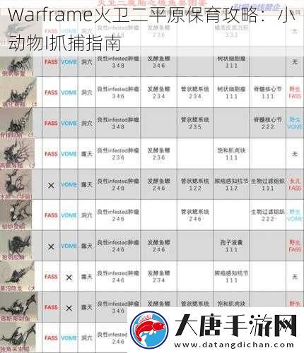 Warframe火卫二平原保育攻略