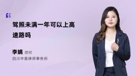 驾照未满一年可以上高速路吗